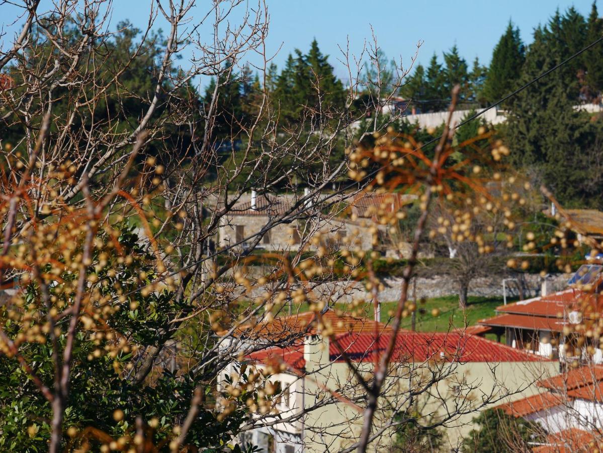 ニキティ Casa Di Grigorisヴィラ エクステリア 写真